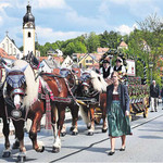 Das Gespann der Schlossbrauerei Naabeck wurde heuer von vier prächtigen Rössern gezogen. Das Gespann der Schlossbrauerei Naabeck wurde heuer von vier prächtigen Rössern gezogen.