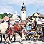 Unter weiß-blauem Himmel zog der Festzug durch Schwandorf. Rund 70 Vereine nahmen heuer daran teil. Unter weiß-blauem Himmel zog der Festzug durch Schwandorf. Rund 70 Vereine nahmen heuer daran teil.