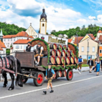Das Brauereigespann der Schlossbrauerei Naabeck folgte dem Musikverein Dachelhofen, der den Volksfestzug anführte. Foto: Dietmar Zwick